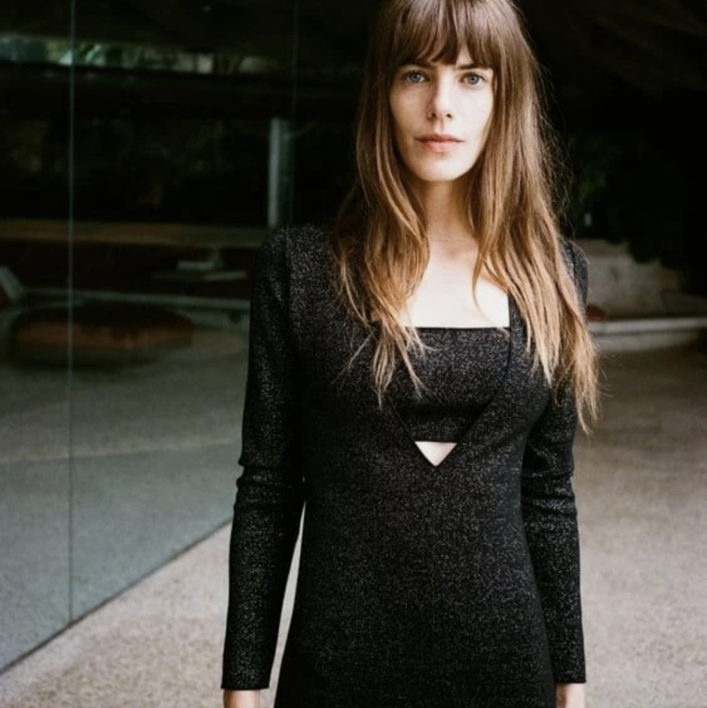 Zara METALLIC Thread SLIT Dress